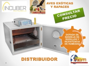 INCUBATEUR FIEM MG-50 BIRD